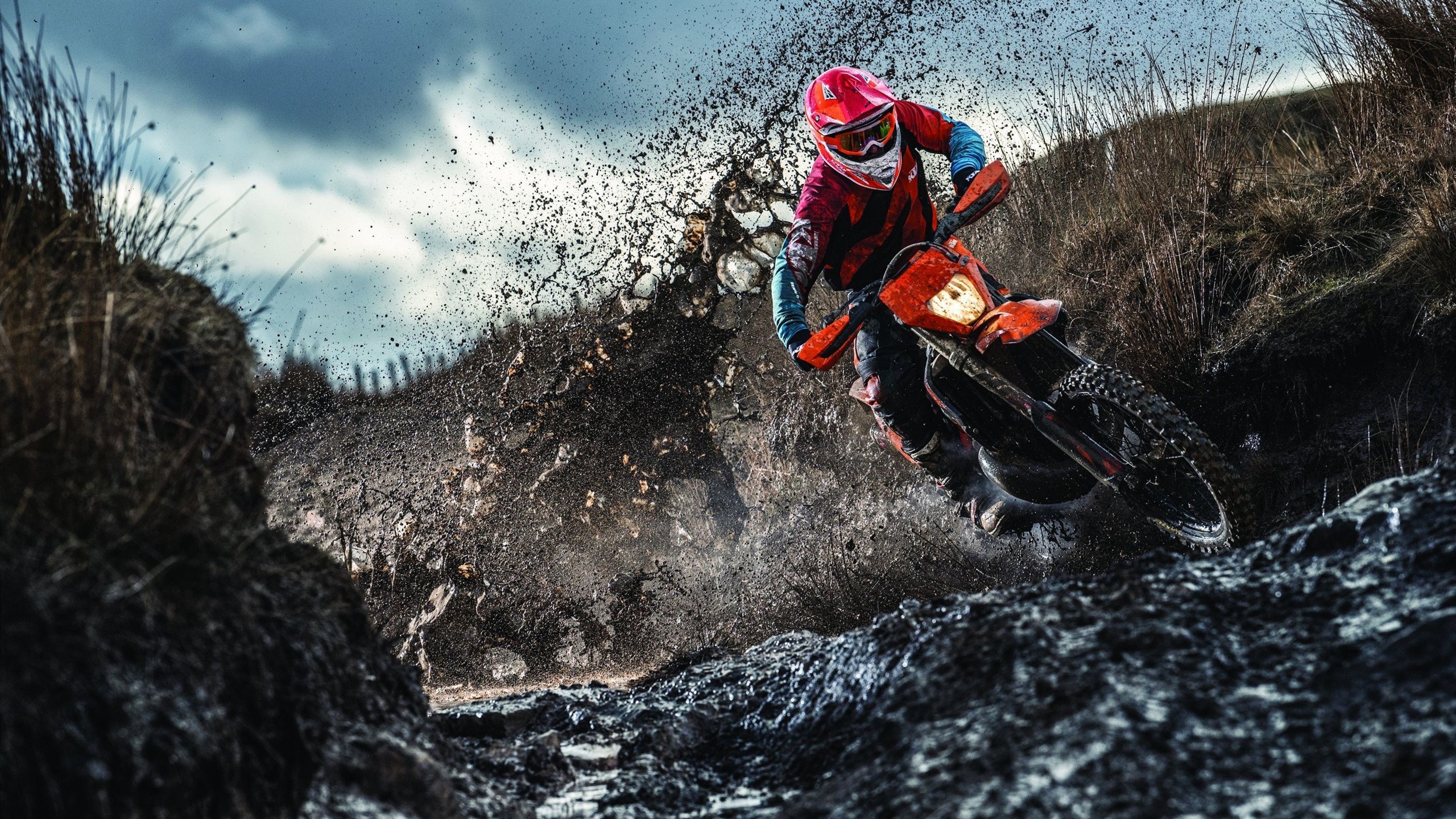 塔图姆新星连败表现惊艳,塞尔维亚队未来可期!